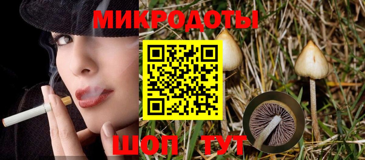 Галлюциногенные грибы Psilocybine cubensis  Вход с VPN  Новоуральск 
